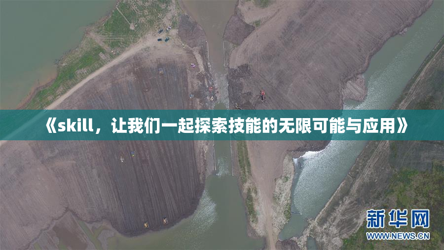 《skill，让我们一起探索技能的无限可能与应用》