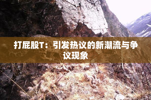 打屁股T：引发热议的新潮流与争议现象