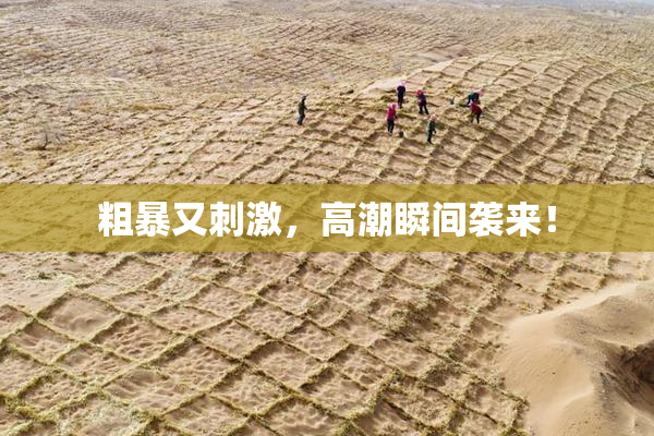粗暴又刺激，高潮瞬间袭来！