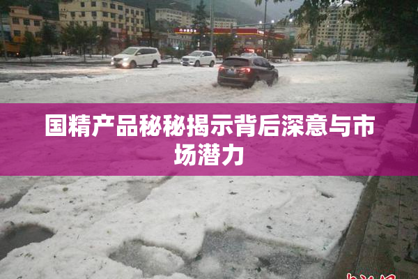 国精产品秘秘揭示背后深意与市场潜力