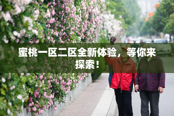 蜜桃一区二区全新体验，等你来探索！