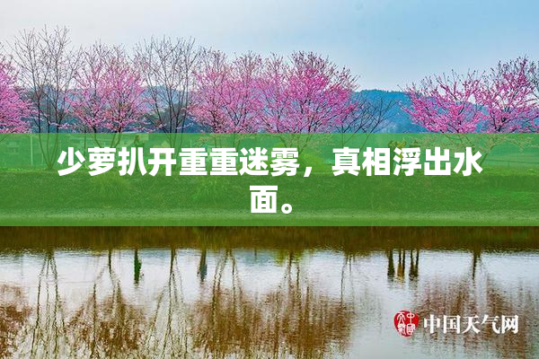 少萝扒开重重迷雾，真相浮出水面。