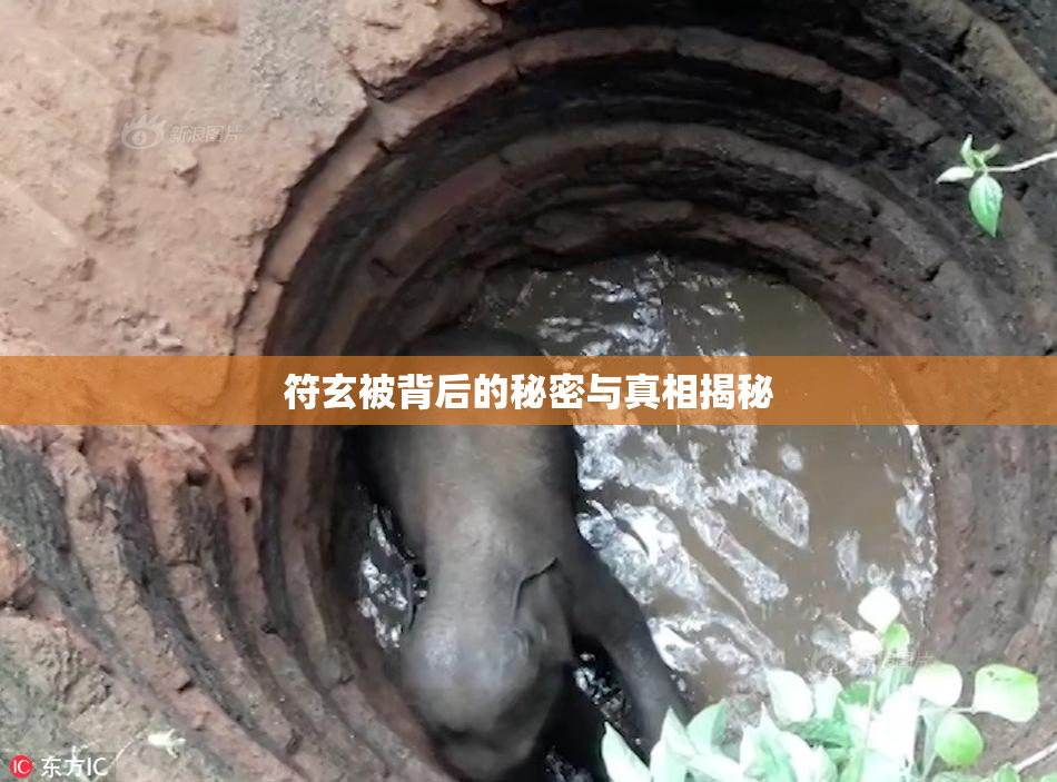 符玄被背后的秘密与真相揭秘