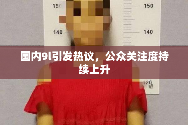 国内9l引发热议，公众关注度持续上升