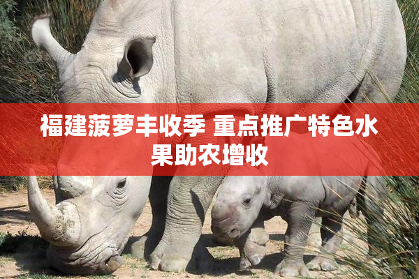 福建菠萝丰收季 重点推广特色水果助农增收