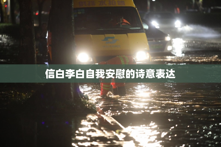 信白李白自我安慰的诗意表达