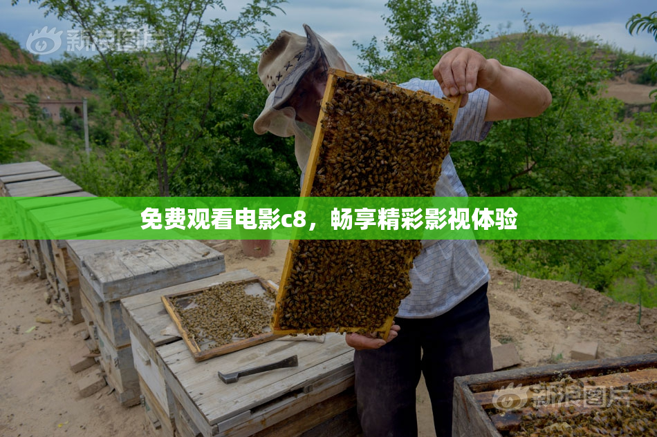 免费观看电影c8，畅享精彩影视体验