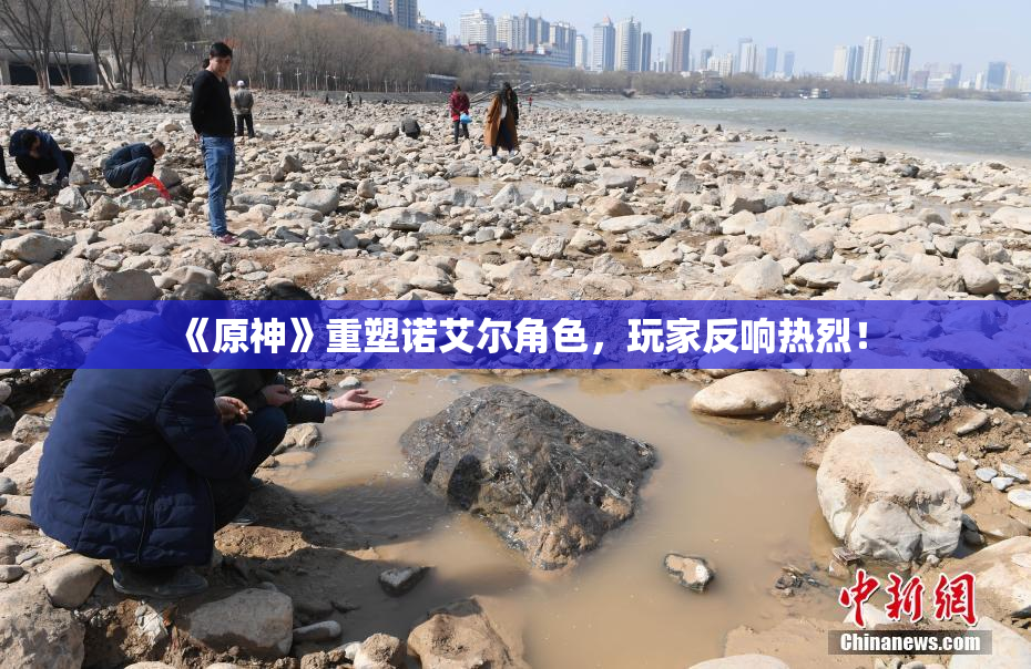 《原神》重塑诺艾尔角色，玩家反响热烈！