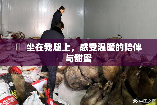 妺妺坐在我腿上，感受温暖的陪伴与甜蜜