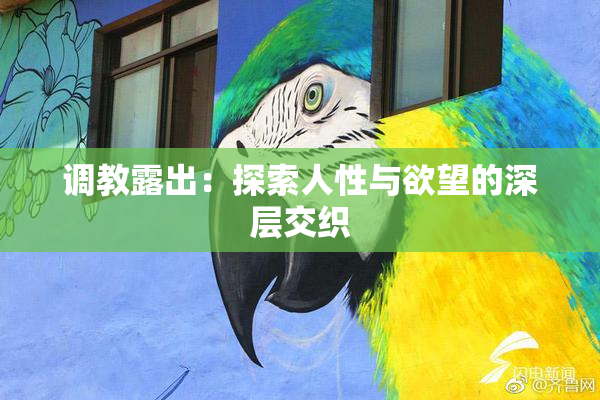 调教露出：探索人性与欲望的深层交织