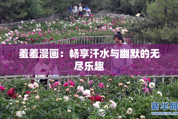 羞羞漫画：畅享汗水与幽默的无尽乐趣