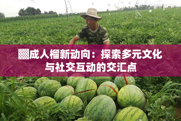 ▓成人榴新动向：探索多元文化与社交互动的交汇点