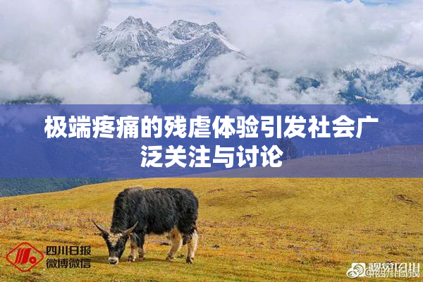 极端疼痛的残虐体验引发社会广泛关注与讨论