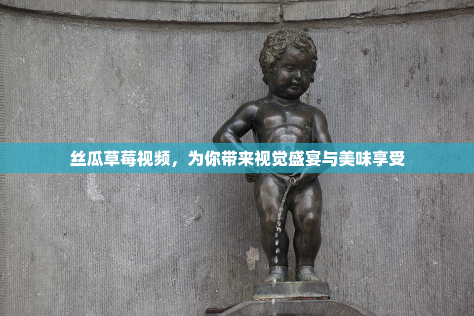 丝瓜草莓视频，为你带来视觉盛宴与美味享受