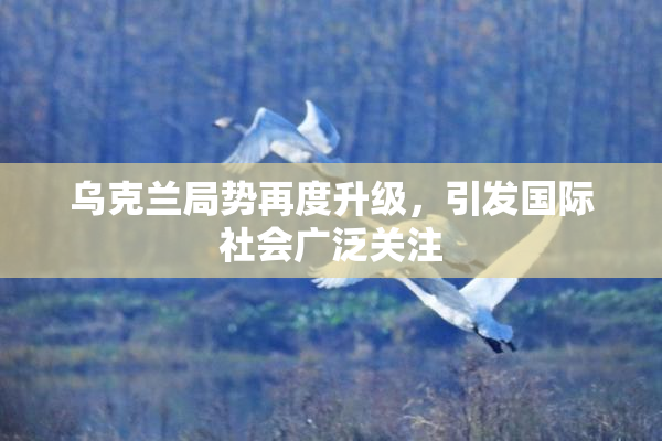 乌克兰局势再度升级，引发国际社会广泛关注