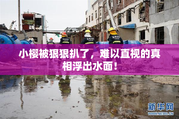 小樱被狠狠扒了，难以直视的真相浮出水面！