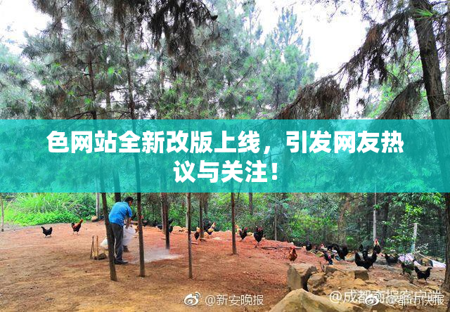 色网站全新改版上线，引发网友热议与关注！