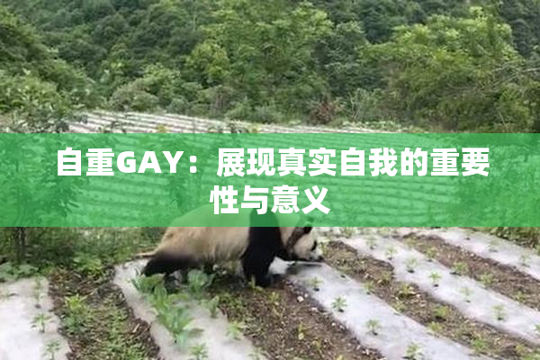 自重GAY：展现真实自我的重要性与意义