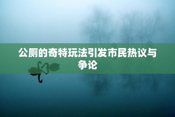 公厕的奇特玩法引发市民热议与争论