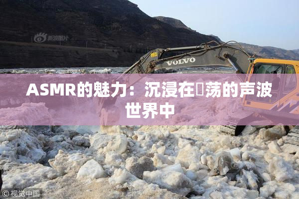ASMR的魅力：沉浸在婬荡的声波世界中