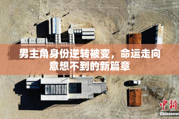 男主角身份逆转被变，命运走向意想不到的新篇章