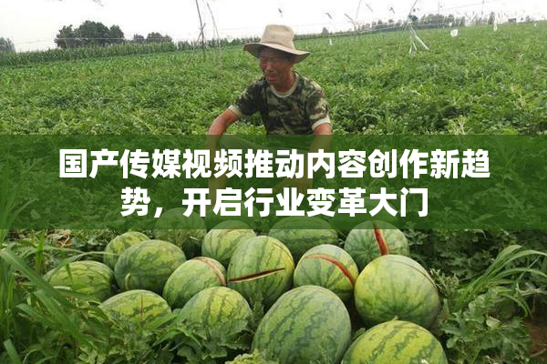 国产传媒视频推动内容创作新趋势，开启行业变革大门