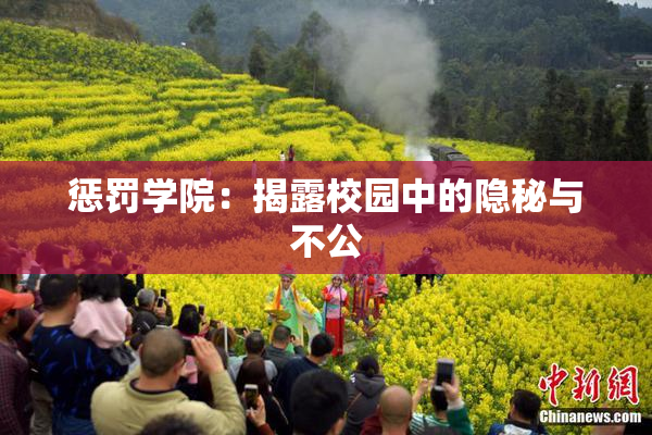 惩罚学院：揭露校园中的隐秘与不公