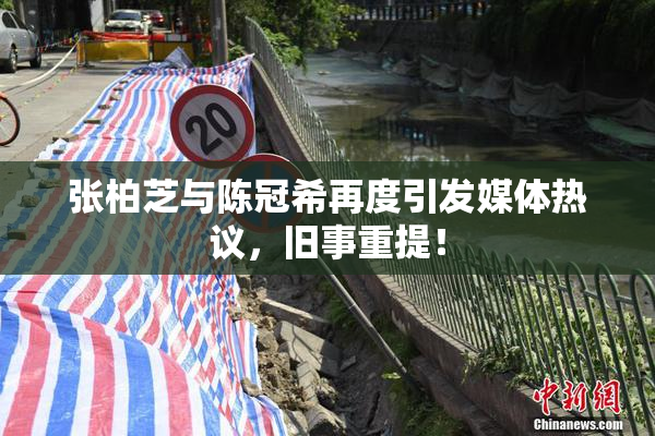 张柏芝与陈冠希再度引发媒体热议，旧事重提！