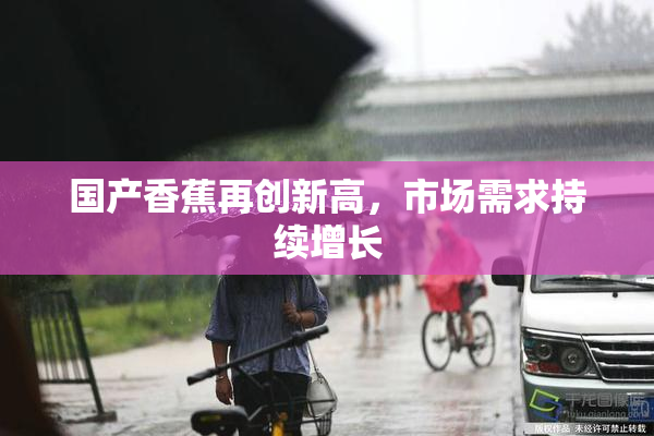 国产香蕉再创新高，市场需求持续增长