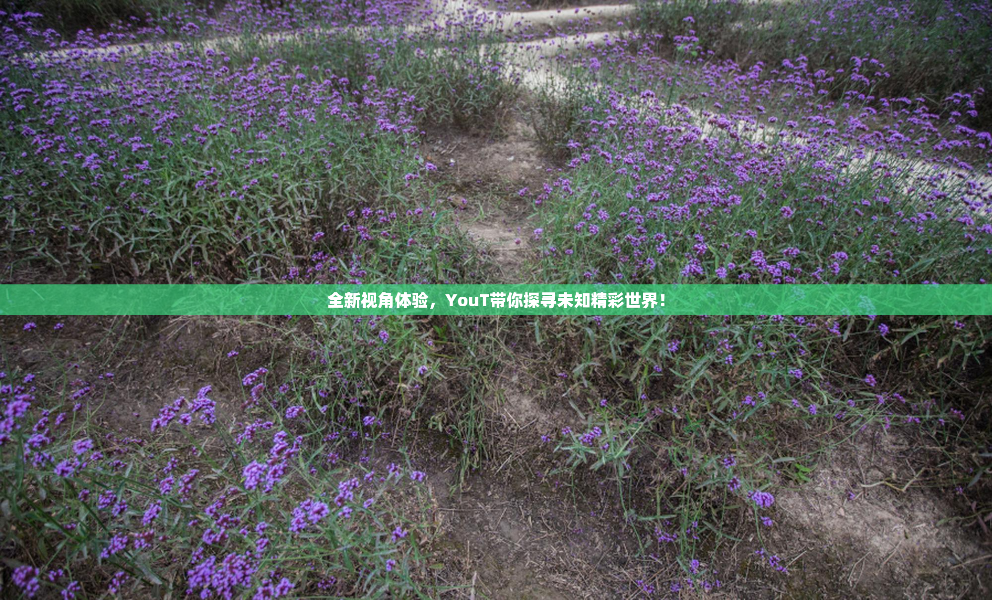 全新视角体验，YouT带你探寻未知精彩世界！