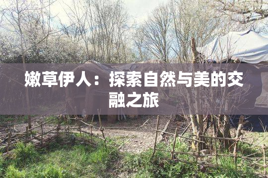 嫩草伊人：探索自然与美的交融之旅