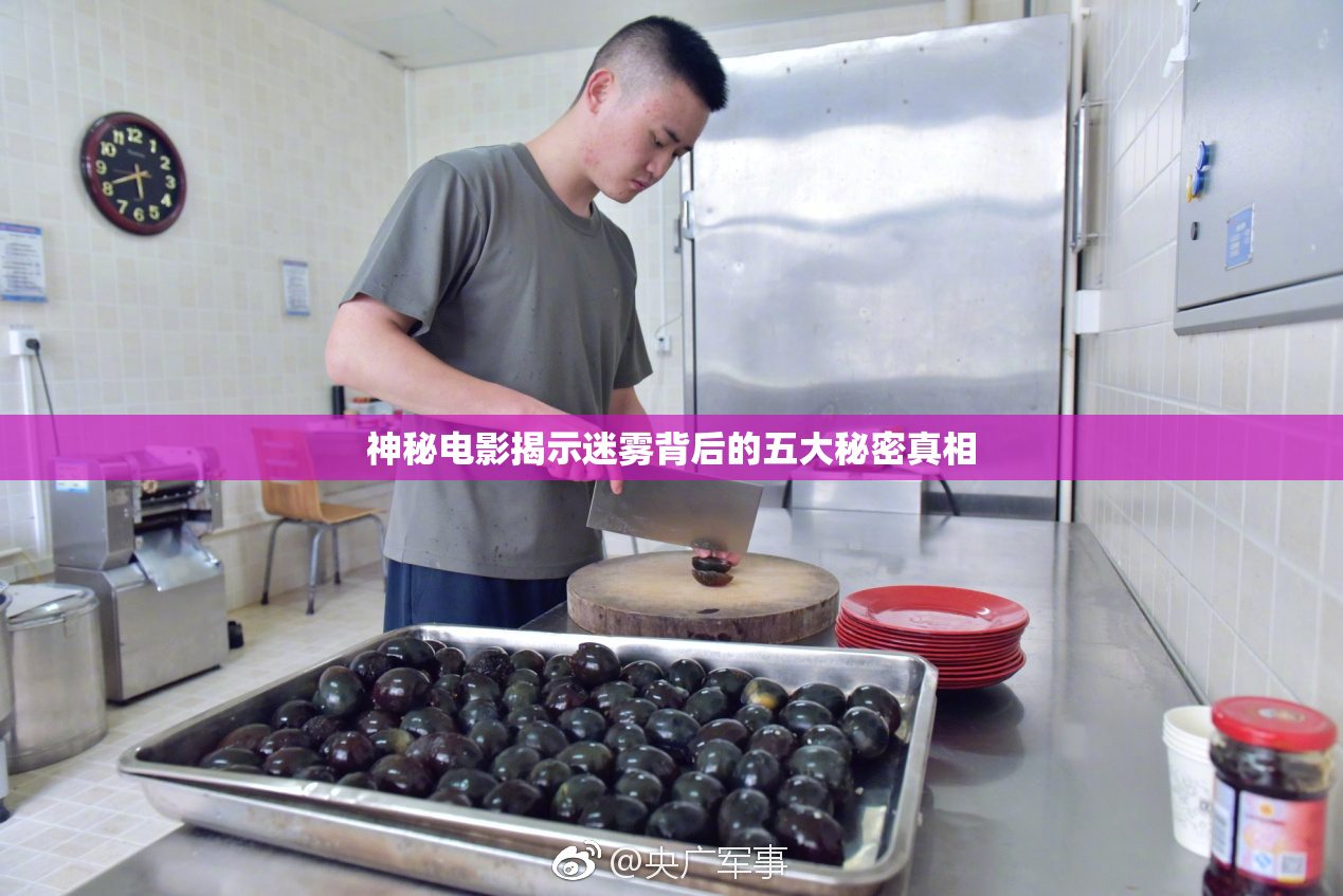 神秘电影揭示迷雾背后的五大秘密真相