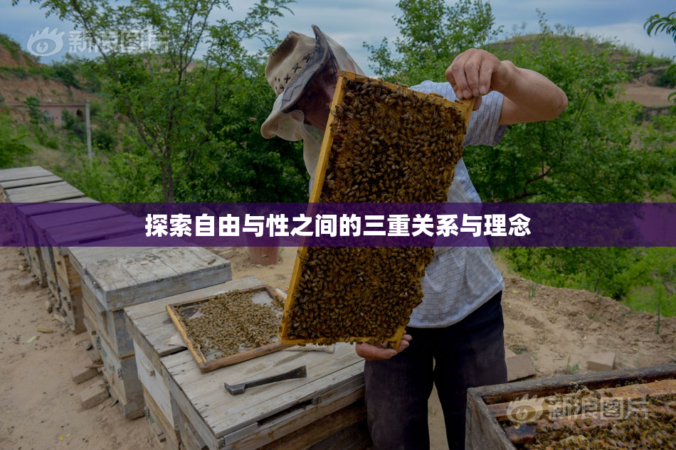 探索自由与性之间的三重关系与理念