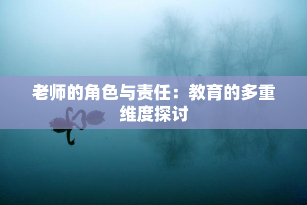 老师的角色与责任：教育的多重维度探讨