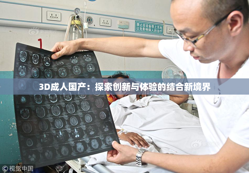 3D成人国产：探索创新与体验的结合新境界