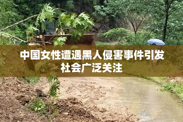 中国女性遭遇黑人侵害事件引发社会广泛关注