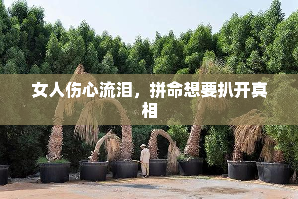 女人伤心流泪，拼命想要扒开真相