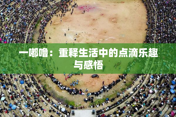 一嘟噜：重释生活中的点滴乐趣与感悟