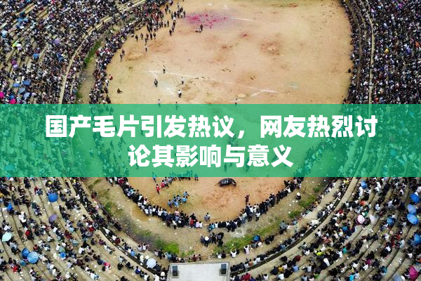 国产毛片引发热议，网友热烈讨论其影响与意义