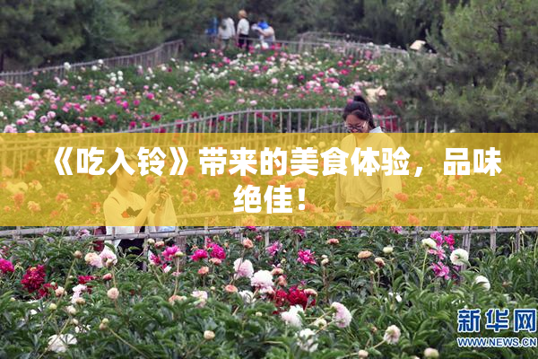 《吃入铃》带来的美食体验，品味绝佳！