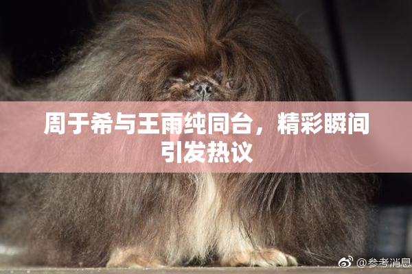 周于希与王雨纯同台，精彩瞬间引发热议