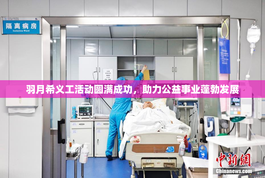 羽月希义工活动圆满成功，助力公益事业蓬勃发展