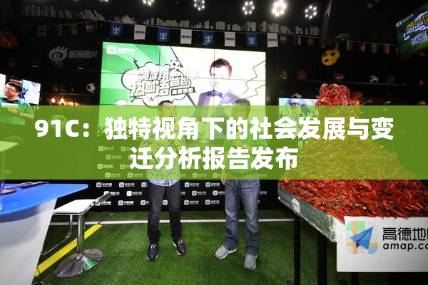 91C：独特视角下的社会发展与变迁分析报告发布