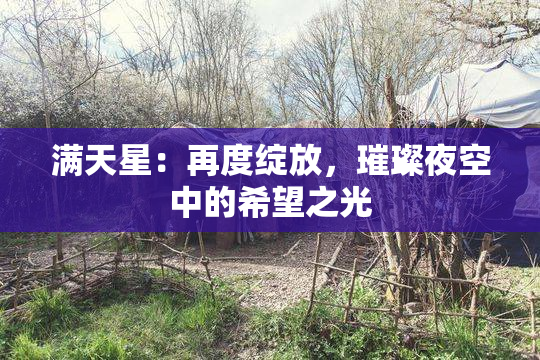 满天星：再度绽放，璀璨夜空中的希望之光