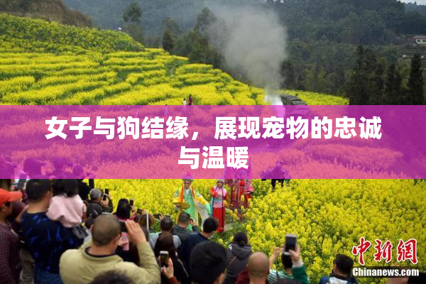 女子与狗结缘，展现宠物的忠诚与温暖