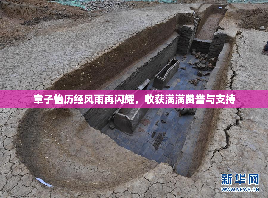 章子怡历经风雨再闪耀，收获满满赞誉与支持