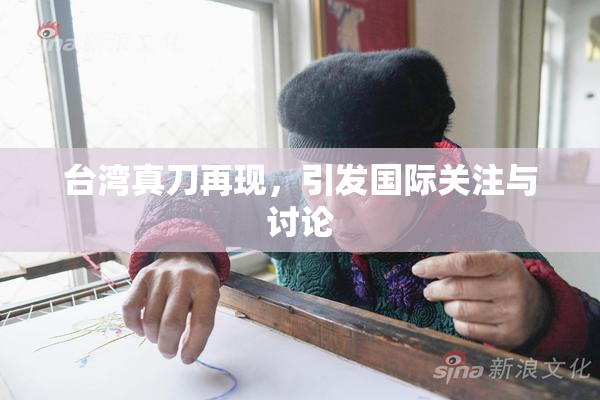 台湾真刀再现，引发国际关注与讨论