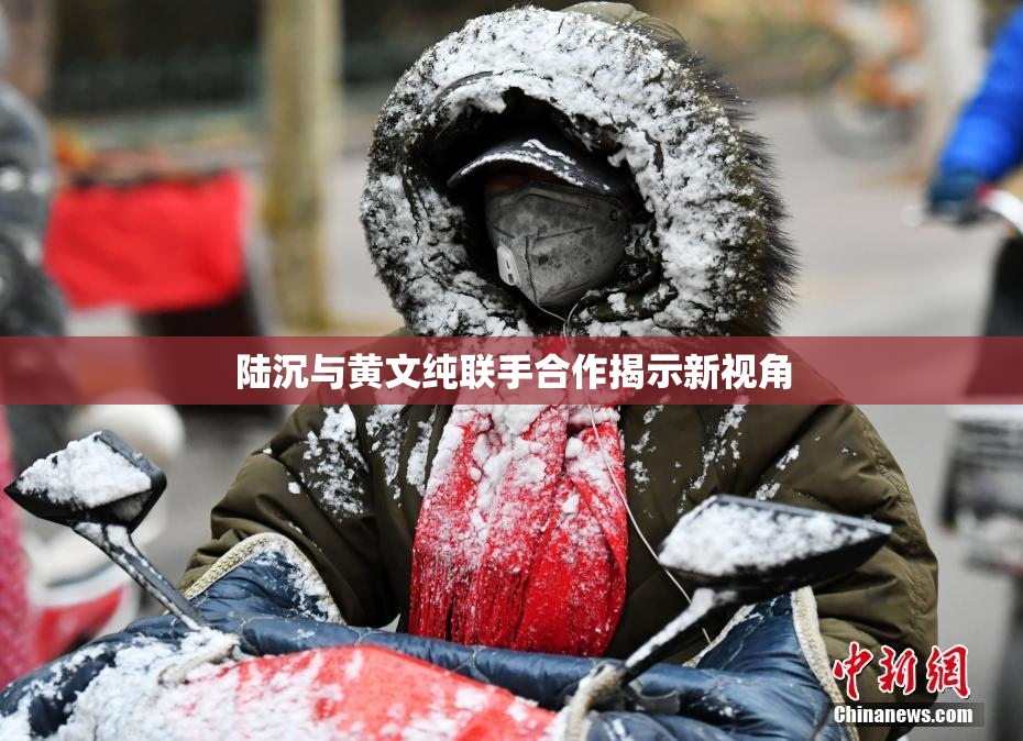 陆沉与黄文纯联手合作揭示新视角