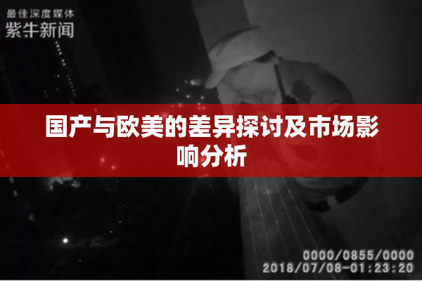 国产与欧美的差异探讨及市场影响分析