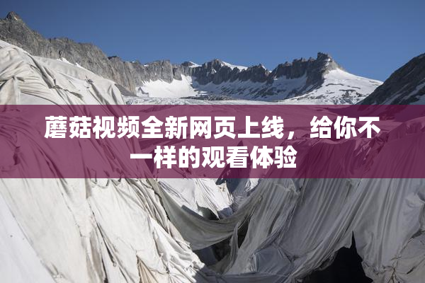 蘑菇视频全新网页上线，给你不一样的观看体验